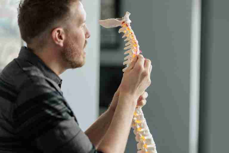 A man holds a spine model, illustrating its anatomy in a clinical context